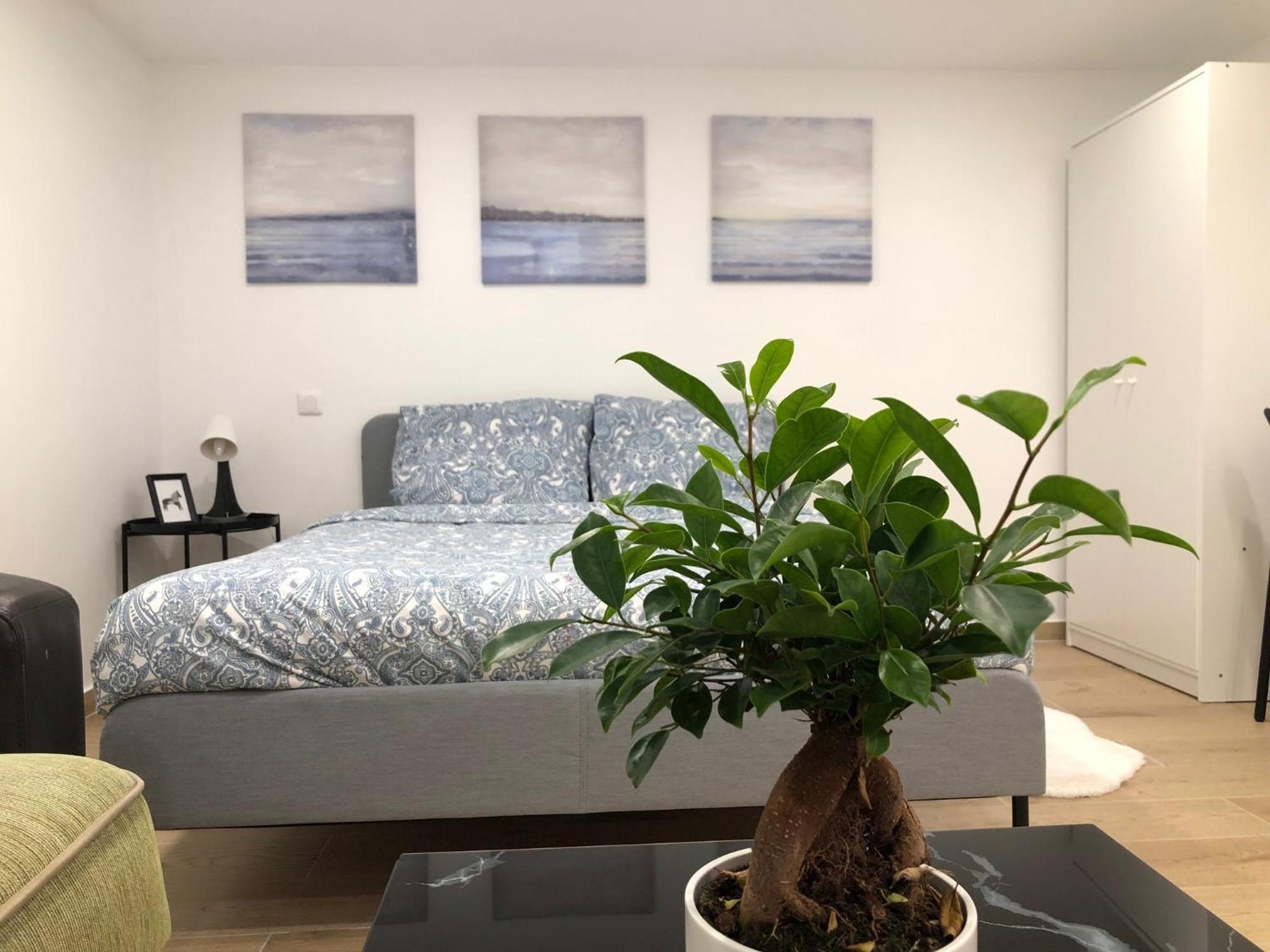 Grand F2 Confortable Saint-Denis  Dış mekan fotoğraf